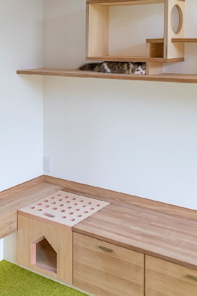 猫家具
